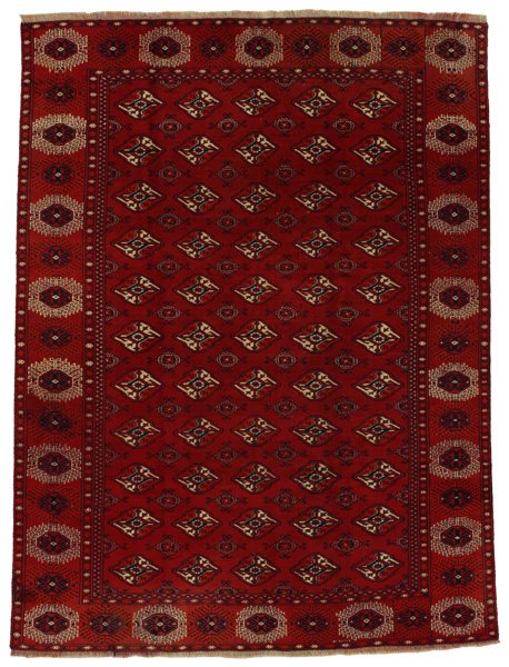 Bokhara - Turkaman Alfombra Persa 253x192