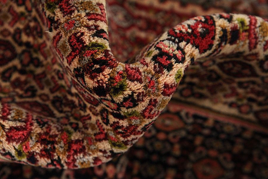 Senneh - Kurdi Alfombra Persa 277x193 - Imagen 6