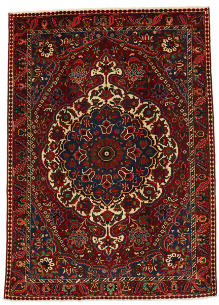 Bakhtiari Alfombra Persa 313x224