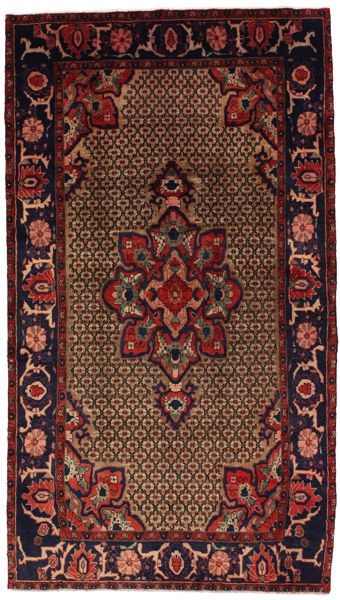 Songhor Alfombra Persa 273x152