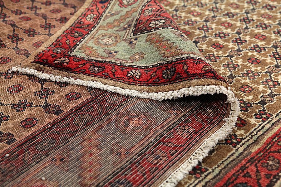 Songhor - Koliai Alfombra Persa 285x155 - Imagen 4