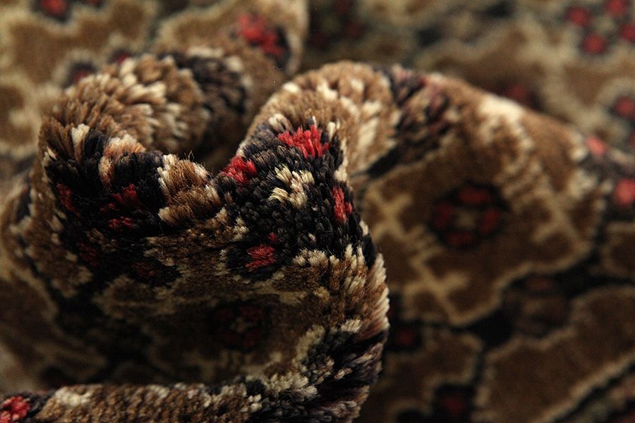 Songhor - Koliai Alfombra Persa 285x155 - Imagen 6