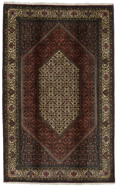 Bijar Alfombra Persa 248x156