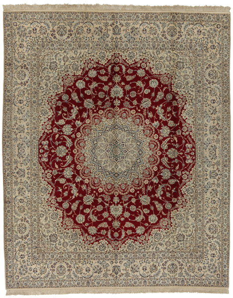 Nain6la Alfombra Persa 302x250