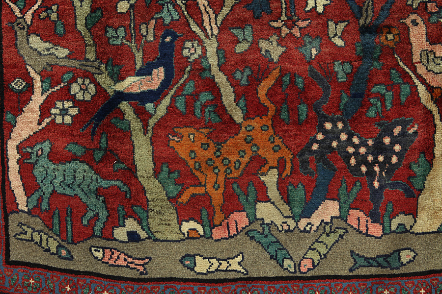 Sarouk Alfombra Persa 288x151 - Imagen 6