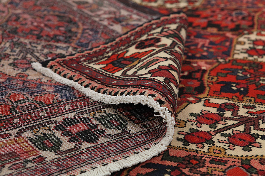 Bakhtiari - Garden Alfombra Persa 289x210 - Imagen 4