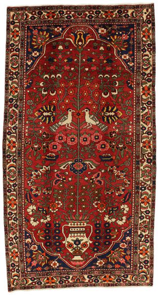 Jozan - Sarouk Alfombra Persa 310x164