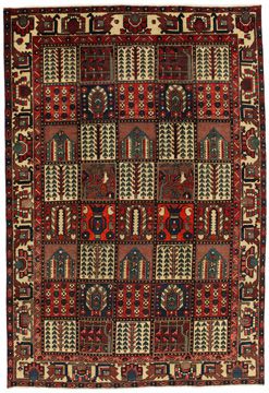 Alfombra Bakhtiari Ornak 300x205