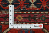 Kazak - Caucasus Alfombra del Cáucaso 239x144 - Imagen 4