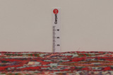 Senneh - Kurdi Alfombra Persa 300x195 - Imagen 8
