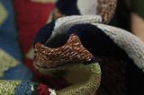 Qashqai - Kilim 257x152 - Imagen 7