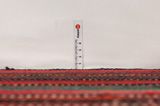 Kilim Jajim - Bijar 255x215 - Imagen 8