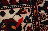Bakhtiari - Garden Alfombra Persa 303x171 - Imagen 17