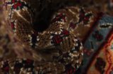 Songhor - Koliai Alfombra Persa 283x150 - Imagen 7