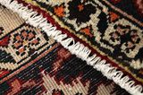 Jozan - Sarouk Alfombra Persa 305x210 - Imagen 6