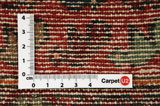 Songhor - Koliai Alfombra Persa 332x110 - Imagen 4