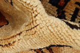 Bakhtiari Alfombra Persa 340x127 - Imagen 7