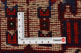 Qashqai - Shiraz Alfombra Persa 245x160 - Imagen 4